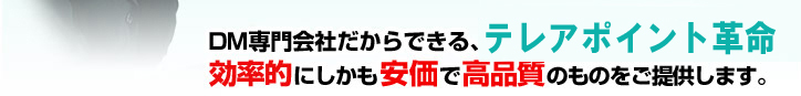 DM専門会社だからできる、テレアポイント革命　効率的にしかも安価で高品質のものをご提供します。