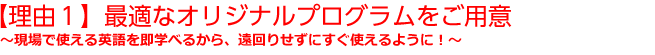 【理由１】最適なオリジナルプログラムをご用意～現場で使える英語を即学べるから、遠回りせずにすぐ使えるように！～