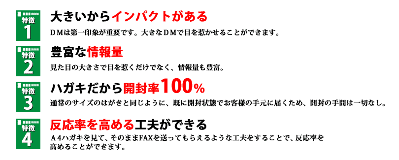 A4ハガキDMの特徴