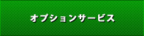 オプション